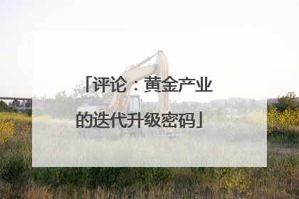 评论：黄金产业的迭代升级密码