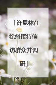 许昆林在徐州接待信访群众并调研
