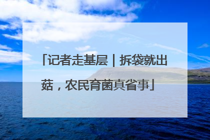 记者走基层｜拆袋就出菇，农民育菌真省事