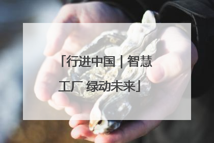 行进中国｜智慧工厂 绿动未来
