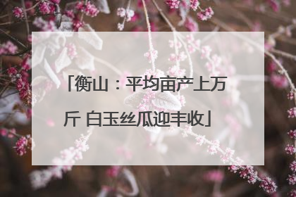 衡山：平均亩产上万斤 白玉丝瓜迎丰收