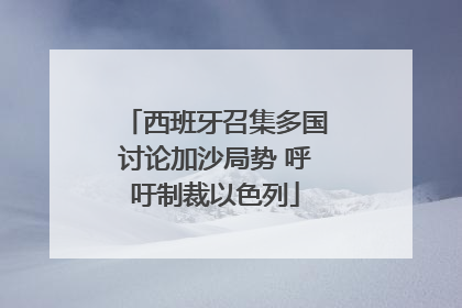 西班牙召集多国讨论加沙局势 呼吁制裁以色列