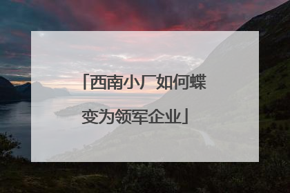 西南小厂如何蝶变为领军企业