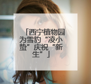 西宁植物园为雪豹“凌小蛰”庆祝“新生”