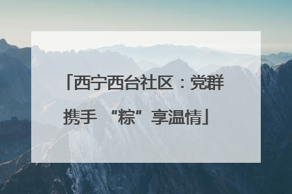 西宁西台社区：党群携手 “粽”享温情