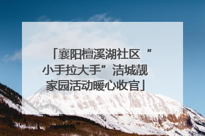 襄阳檀溪湖社区“小手拉大手”洁城靓家园活动暖心收官