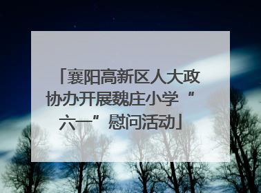 襄阳高新区人大政协办开展魏庄小学“六一”慰问活动