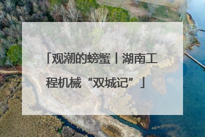 观潮的螃蟹丨湖南工程机械“双城记”