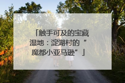 触手可及的宝藏湿地：淀湖村的“魔都小亚马逊”