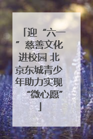 迎“六一”慈善文化进校园 北京东城青少年助力实现“微心愿”