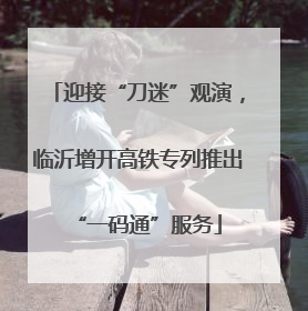 迎接“刀迷”观演，临沂增开高铁专列推出“一码通”服务