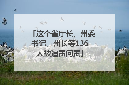 这个省厅长、州委书记、州长等136人被追责问责