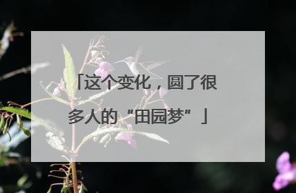 这个变化，圆了很多人的“田园梦”