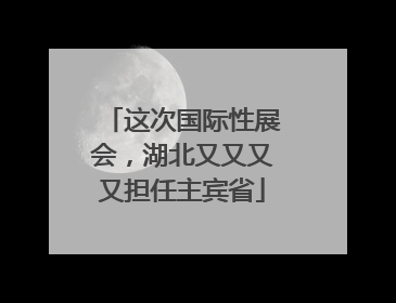 这次国际性展会，湖北又又又又担任主宾省