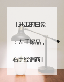 进击的白象：左手爆品，右手经销商