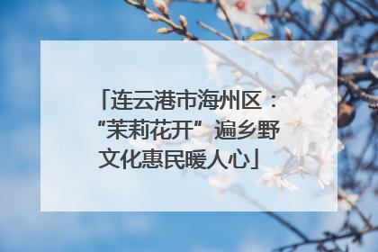 连云港市海州区：“茉莉花开”遍乡野 文化惠民暖人心