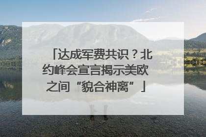达成军费共识？北约峰会宣言揭示美欧之间“貌合神离”