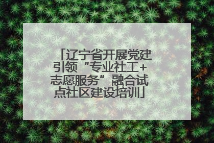 辽宁省开展党建引领“专业社工+志愿服务”融合试点社区建设培训
