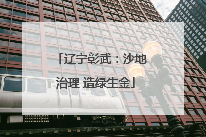 辽宁彰武：沙地治理 造绿生金
