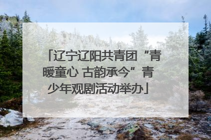 辽宁辽阳共青团“青暖童心 古韵承今”青少年观剧活动举办