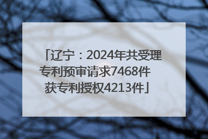 辽宁：2024年共受理专利预审请求7468件 获专利授权4213件
