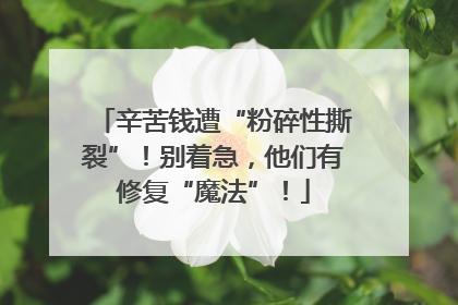 辛苦钱遭“粉碎性撕裂”！别着急，他们有修复“魔法”！