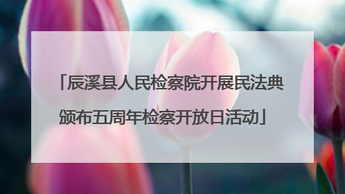 辰溪县人民检察院开展民法典颁布五周年检察开放日活动