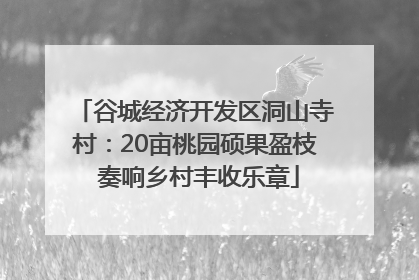 谷城经济开发区洞山寺村：20亩桃园硕果盈枝 奏响乡村丰收乐章