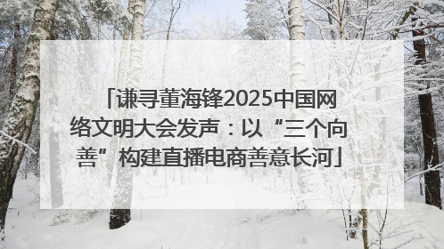 谦寻董海锋2025中国网络文明大会发声：以“三个向善”构建直播电商善意长河