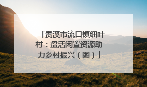 贵溪市流口镇细叶村：盘活闲置资源助力乡村振兴（图）