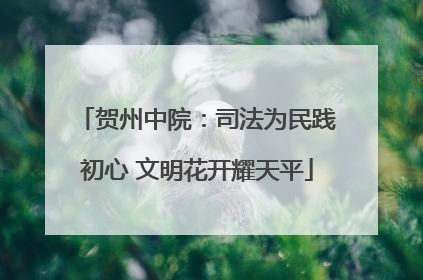 贺州中院：司法为民践初心 文明花开耀天平