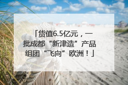 货值6.5亿元，一批成都“新津造”产品组团“飞向”欧洲！