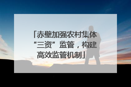 赤壁加强农村集体“三资”监管，构建高效监管机制