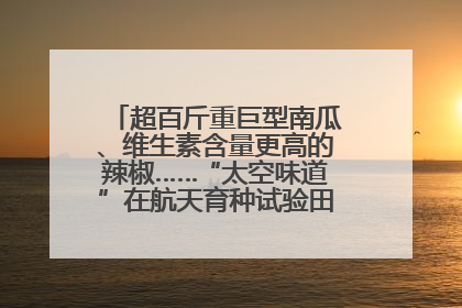 超百斤重巨型南瓜、维生素含量更高的辣椒……“太空味道”在航天育种试验田里拔节生长