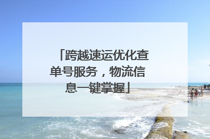 跨越速运优化查单号服务，物流信息一键掌握