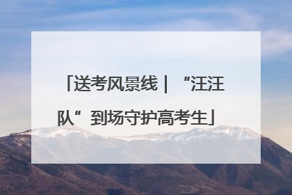 送考风景线｜“汪汪队”到场守护高考生