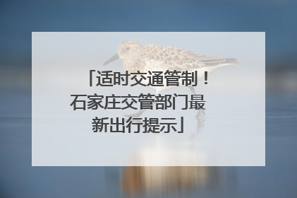 适时交通管制！石家庄交管部门最新出行提示