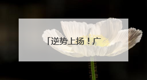 逆势上扬！广州外贸凭什么越战越猛？