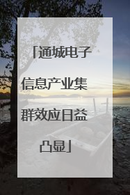 通城电子信息产业集群效应日益凸显