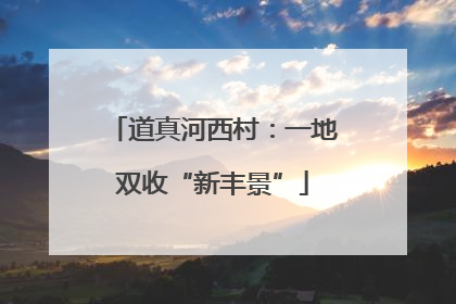 道真河西村：一地双收“新丰景”