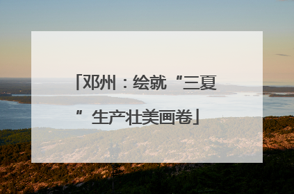 邓州：绘就“三夏”生产壮美画卷