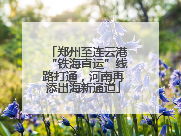 郑州至连云港“铁海直运”线路打通，河南再添出海新通道
