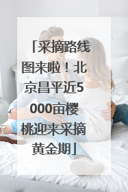 采摘路线图来啦！北京昌平近5000亩樱桃迎来采摘黄金期