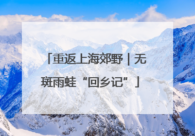 重返上海郊野｜无斑雨蛙“回乡记”
