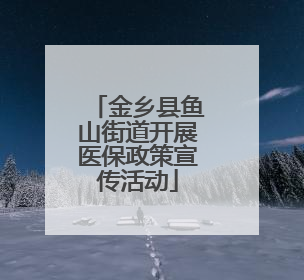 金乡县鱼山街道开展医保政策宣传活动