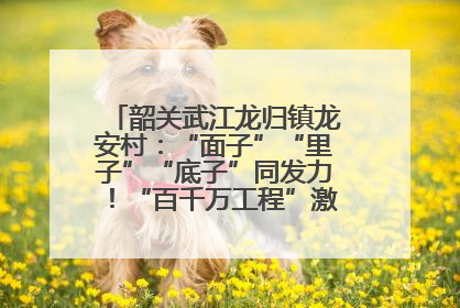 韶关武江龙归镇龙安村：“面子”“里子”“底子”同发力！“百千万工程”激活乡村新动能