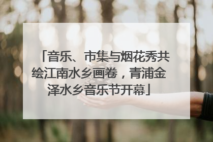音乐、市集与烟花秀共绘江南水乡画卷，青浦金泽水乡音乐节开幕