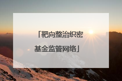 靶向整治织密基金监管网络
