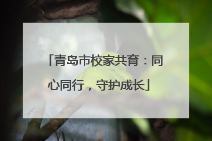 青岛市校家共育：同心同行，守护成长