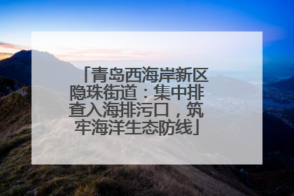 青岛西海岸新区隐珠街道：集中排查入海排污口，筑牢海洋生态防线